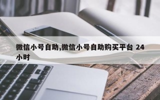 微信小号自助,微信小号自助购买平台 24小时