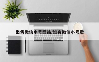 出售微信小号网站/谁有微信小号卖