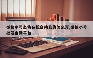 微信小号出售在线自动发货怎么弄,微信小号批发自助平台