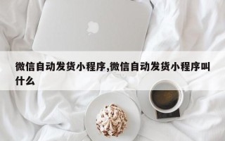 微信自动发货小程序,微信自动发货小程序叫什么