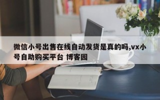 微信小号出售在线自动发货是真的吗,vx小号自助购买平台 博客园