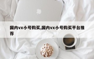 国内vx小号购买,国内vx小号购买平台推荐