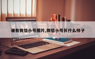 谁有微信小号图片,微信小号长什么样子