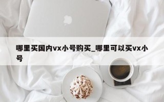 哪里买国内vx小号购买_哪里可以买vx小号