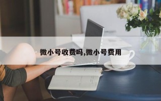 微小号收费吗,微小号费用