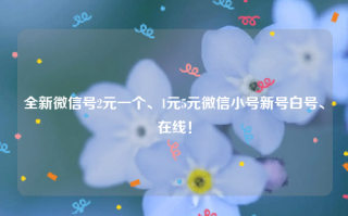  全新微信号2元一个、1元5元微信小号新号白号、在线！