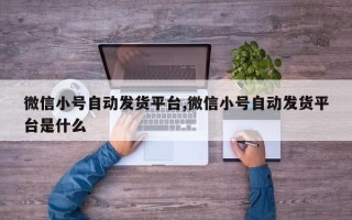 微信小号自动发货平台,微信小号自动发货平台是什么