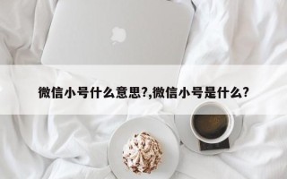 微信小号什么意思?,微信小号是什么?