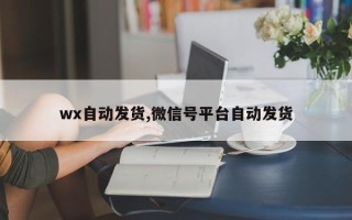 wx自动发货,微信号平台自动发货