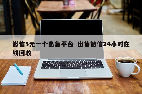 微信5元一个出售平台_出售微信24小时在线回收-第1张图片-天启科技