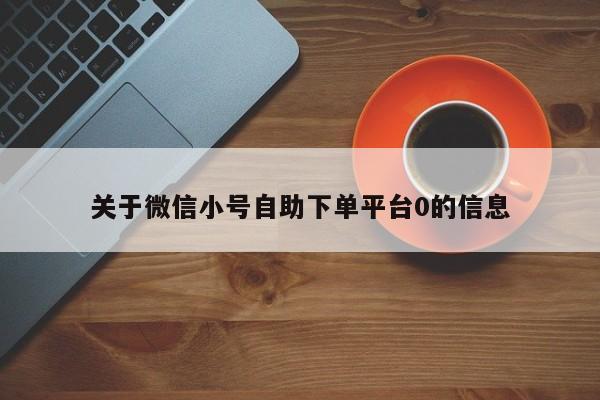 关于微信小号自助下单平台0的信息-第1张图片-天启科技