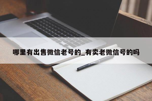 哪里有出售微信老号的_有卖老微信号的吗-第1张图片-天启科技