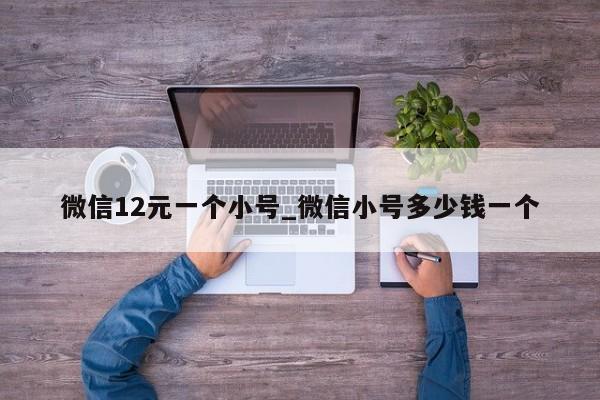 微信12元一个小号_微信小号多少钱一个-第1张图片-天启科技