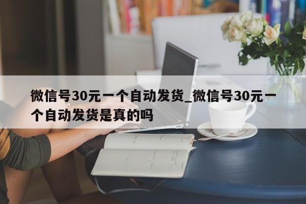 微信号30元一个自动发货_微信号30元一个自动发货是真的吗-第1张图片-天启科技