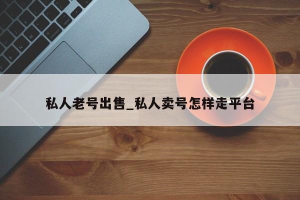 私人老号出售_私人卖号怎样走平台-第1张图片-天启科技