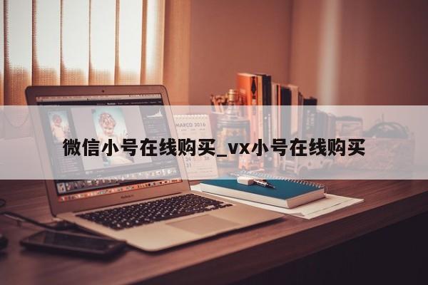 微信小号在线购买_vx小号在线购买-第1张图片-天启科技