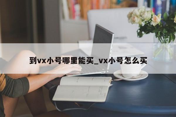 到vx小号哪里能买_vx小号怎么买-第1张图片-天启科技