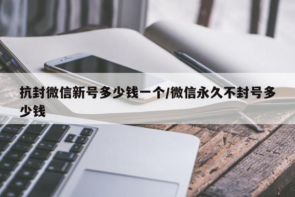 抗封微信新号多少钱一个/微信永久不封号多少钱-第1张图片-天启科技