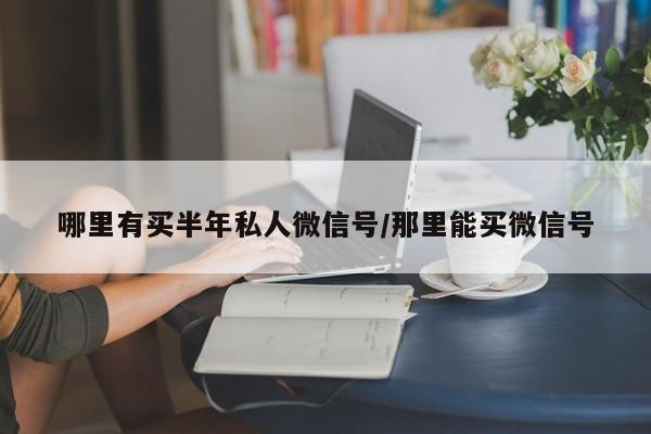 哪里有买半年私人微信号/那里能买微信号-第1张图片-天启科技