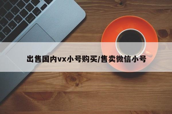 出售国内vx小号购买/售卖微信小号-第1张图片-天启科技