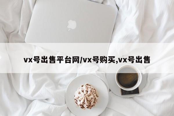 vx号出售平台网/vx号购买,vx号出售-第1张图片-天启科技