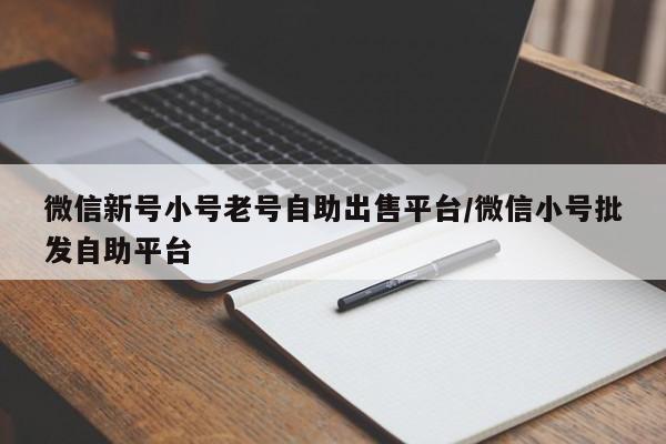 微信新号小号老号自助出售平台/微信小号批发自助平台-第1张图片-天启科技