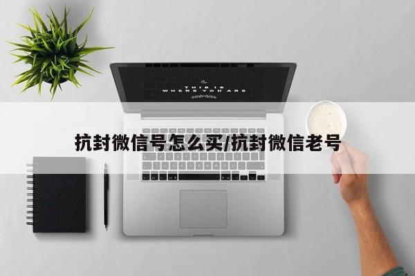 抗封微信号怎么买/抗封微信老号-第1张图片-天启科技