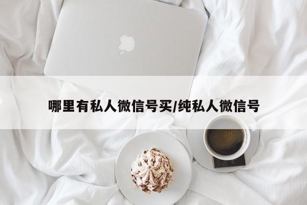 哪里有私人微信号买/纯私人微信号-第1张图片-天启科技