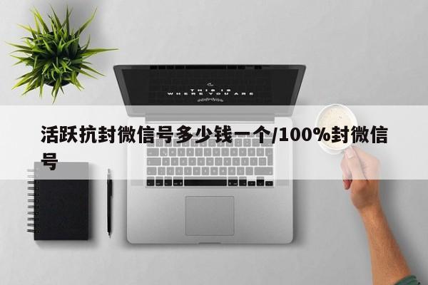 活跃抗封微信号多少钱一个/100%封微信号-第1张图片-天启科技