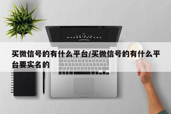 买微信号的有什么平台/买微信号的有什么平台要实名的-第1张图片-天启科技