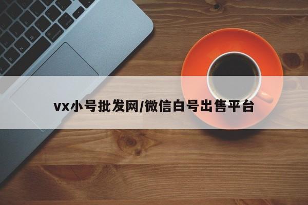 vx小号批发网/微信白号出售平台-第1张图片-天启科技