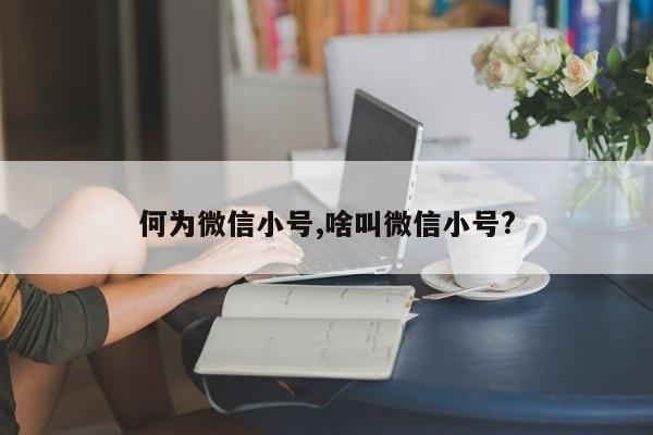 何为微信小号,啥叫微信小号?-第1张图片-天启科技