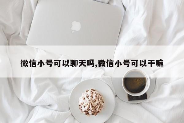 微信小号可以聊天吗,微信小号可以干嘛-第1张图片-天启科技