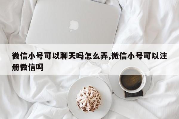 微信小号可以聊天吗怎么弄,微信小号可以注册微信吗-第1张图片-天启科技