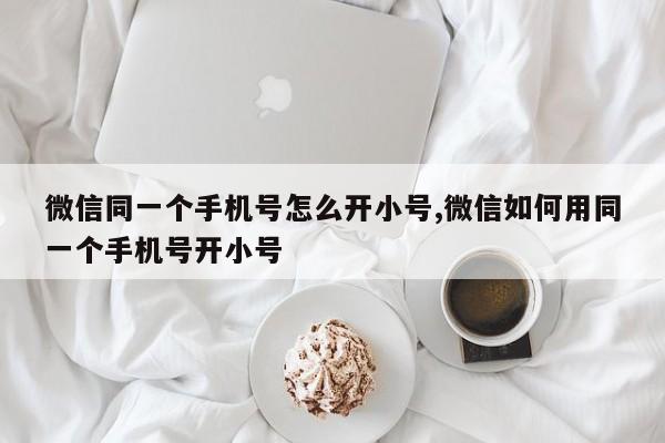 微信同一个手机号怎么开小号,微信如何用同一个手机号开小号-第1张图片-天启科技