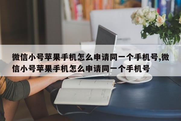 微信小号苹果手机怎么申请同一个手机号,微信小号苹果手机怎么申请同一个手机号-第1张图片-天启科技