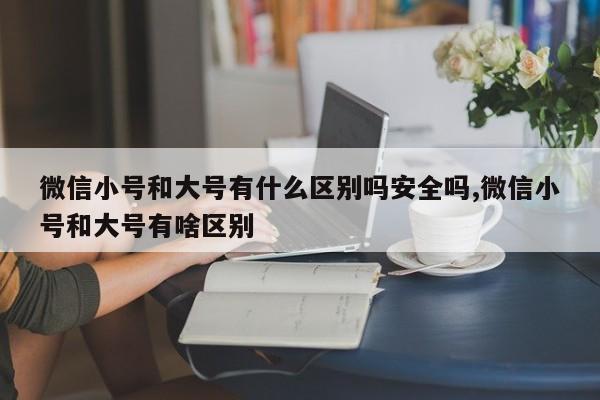 微信小号和大号有什么区别吗安全吗,微信小号和大号有啥区别-第1张图片-天启科技