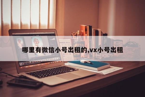 哪里有微信小号出租的,vx小号出租-第1张图片-天启科技