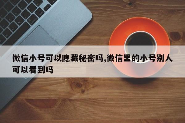 微信小号可以隐藏秘密吗,微信里的小号别人可以看到吗-第1张图片-天启科技