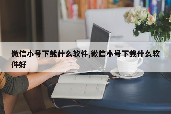 微信小号下载什么软件,微信小号下载什么软件好-第1张图片-天启科技