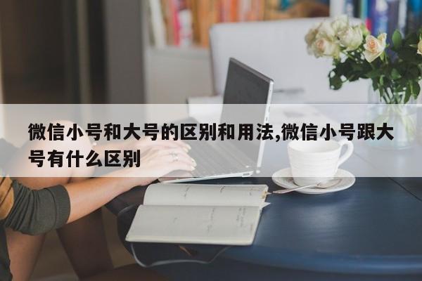 微信小号和大号的区别和用法,微信小号跟大号有什么区别-第1张图片-天启科技