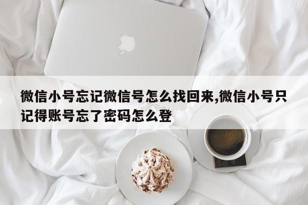 微信小号忘记微信号怎么找回来,微信小号只记得账号忘了密码怎么登-第1张图片-天启科技