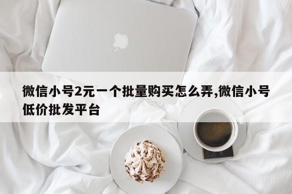 微信小号2元一个批量购买怎么弄,微信小号低价批发平台-第1张图片-天启科技