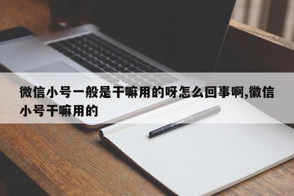 微信小号一般是干嘛用的呀怎么回事啊,徽信小号干嘛用的-第1张图片-天启科技