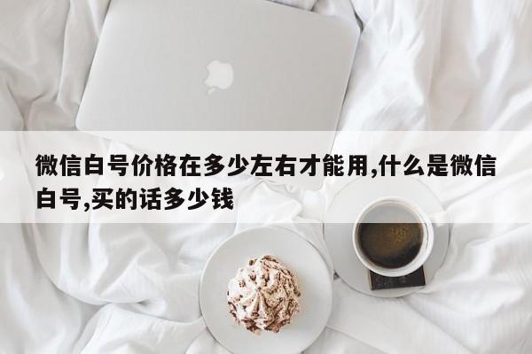 微信白号价格在多少左右才能用,什么是微信白号,买的话多少钱-第1张图片-天启科技