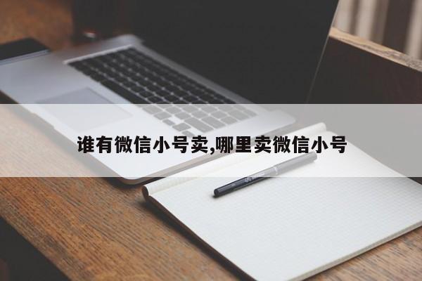 谁有微信小号卖,哪里卖微信小号-第1张图片-天启科技