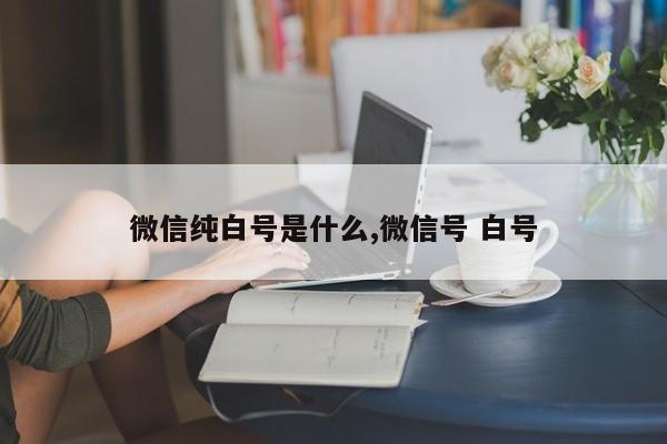 微信纯白号是什么,微信号 白号-第1张图片-天启科技