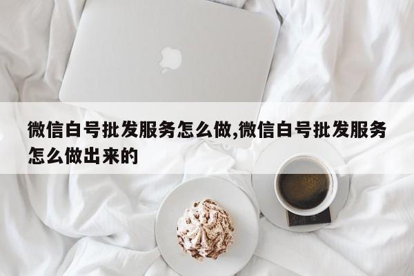 微信白号批发服务怎么做,微信白号批发服务怎么做出来的-第1张图片-天启科技