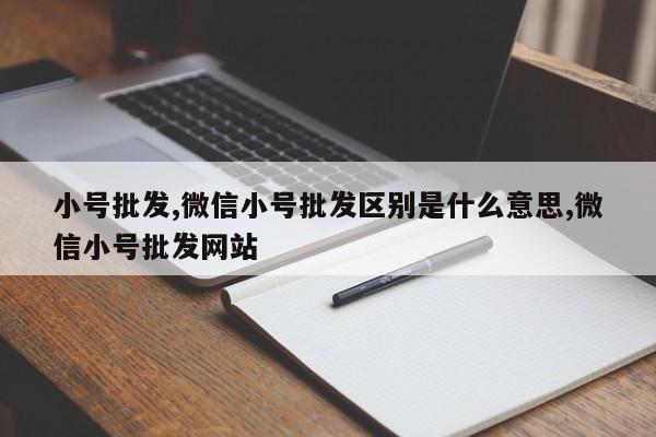 小号批发,微信小号批发区别是什么意思,微信小号批发网站-第1张图片-天启科技