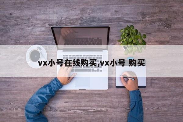 vx小号在线购买,vx小号 购买-第1张图片-天启科技